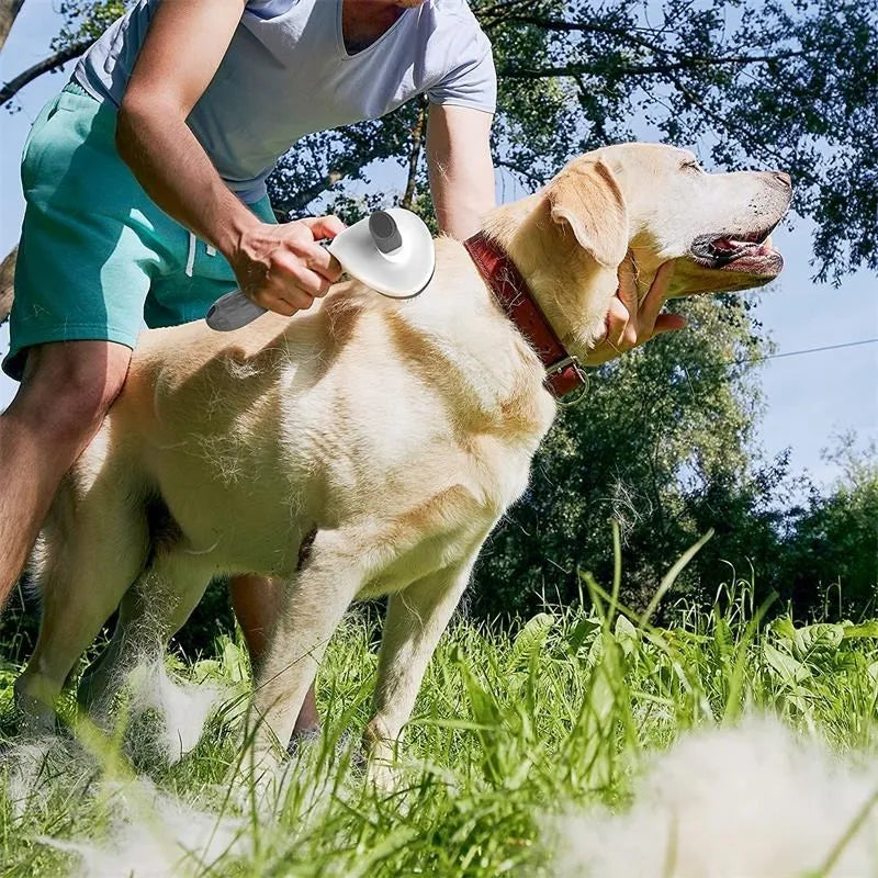 Removedor de pelos de animais de estimação