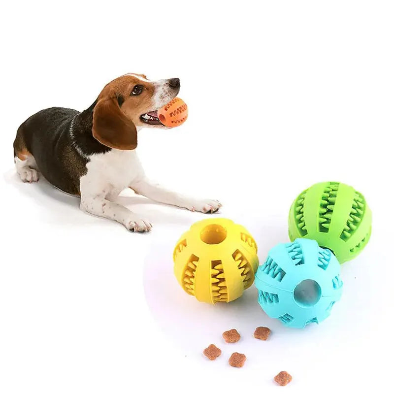 Bola de brinquedo para cachorros